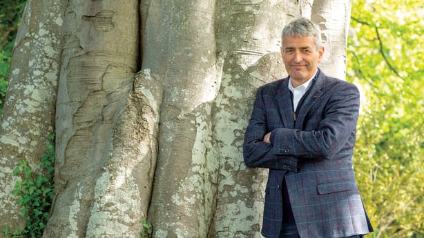 David McCullagh by a tree