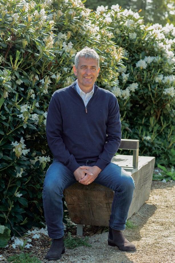 David McCullagh