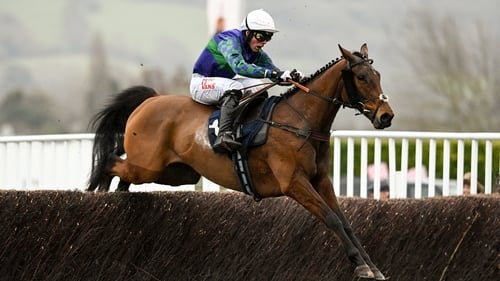 Micheál Nolan riding at Cheltenham in 2023