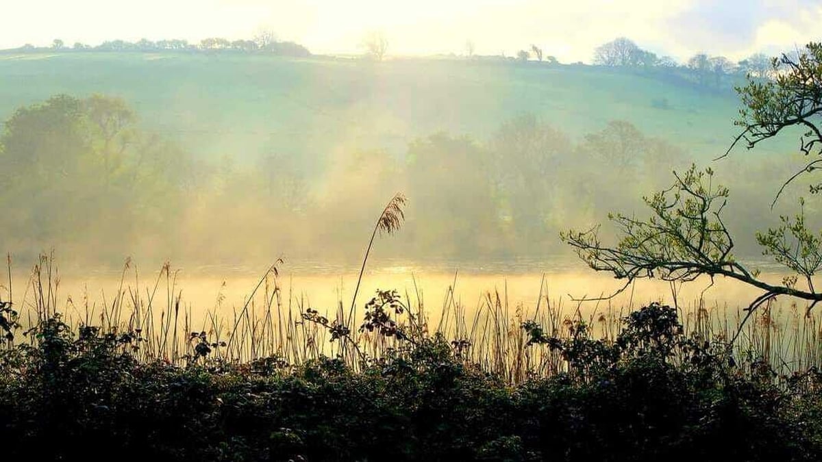 Creating roosting islands at Cuskinny Marsh Nature Reserve
