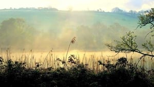 Creating roosting islands at Cuskinny Marsh Nature Reserve show image