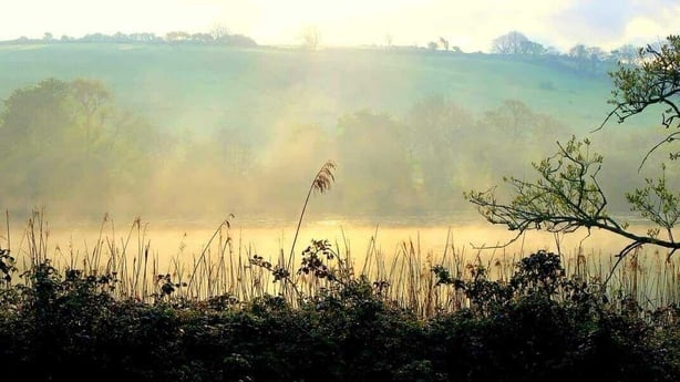 Cuskinny Marsh Nature Reserve by Bernie Carey