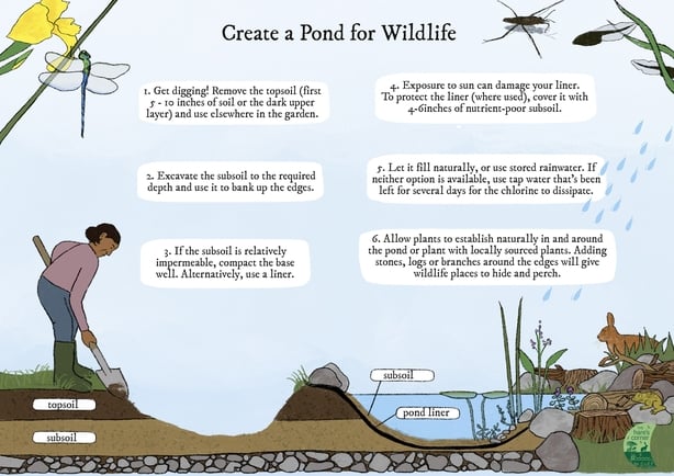 How to create a pond by The Burrenbeo Trust