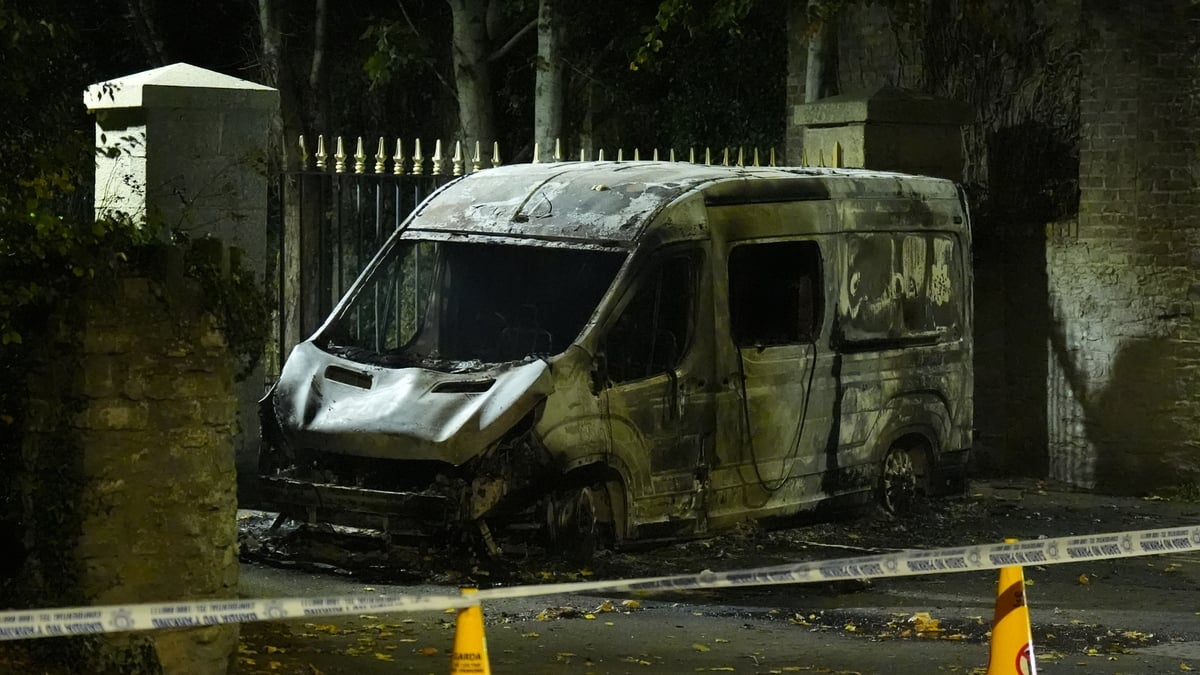Forensic examination carried out at Citywest violence site