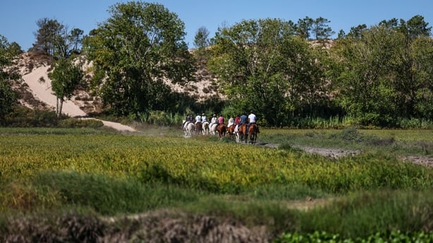 Tourists ride horses across rice paddies with sand dunes and pine trees visible in the background