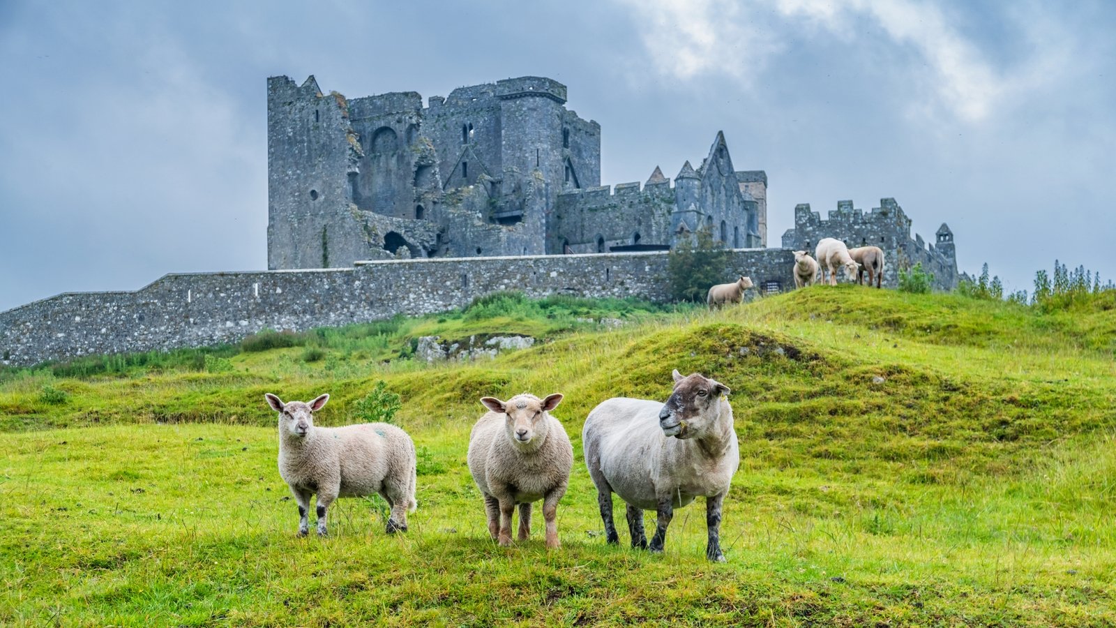 Tipperary named as one of the best places to visit in 2026