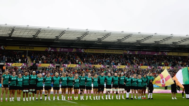 The Ireland squad that reached the World Cup quarter-final is nominated for team of the year