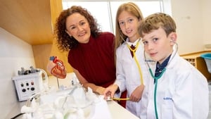 The 2025 Galway Science and Technology Festival show image