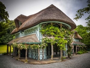 Tipp is top! show image