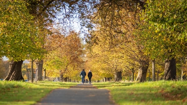 People walking on the treelined path in Phoenix park, Dublin on an autumn day with selective focus, and sun shining People walking on the treelined path in Phoenix park, Dublin on an autumn day with selective focus, and sun shining
