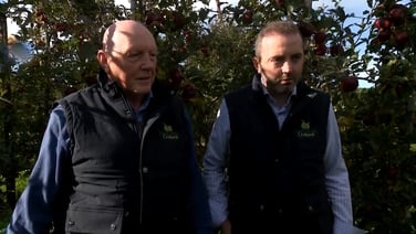 Bord Bia trying to support Irish apple growers amid sea of imports