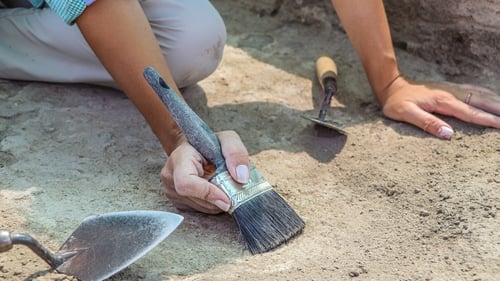 The study revealed that the dinosaur community in the southern realm of North America differed from that present further north on the continent (Stock image)