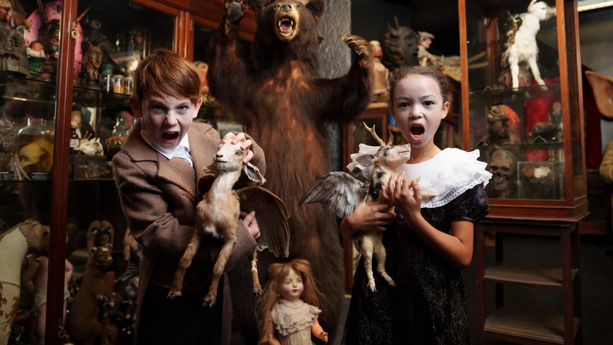 Culture 5 with Derek O'Connor