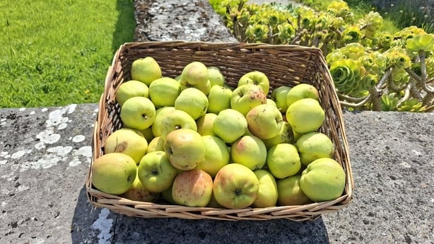 Úlla Inis Meáin (grianghraf: Orlaith Breathnach)