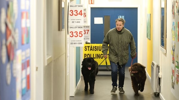 Photo shows dogs Cinsault and Pino with owner Gareth Keogh arriving to vote at Youth Reach, Dublin 8, as voting gets underway in the 2025 presidential election.