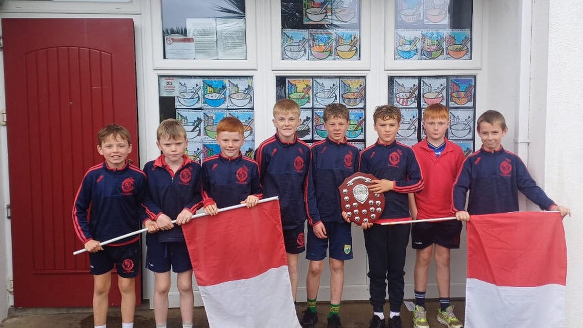 Scoil Iognáid Rís