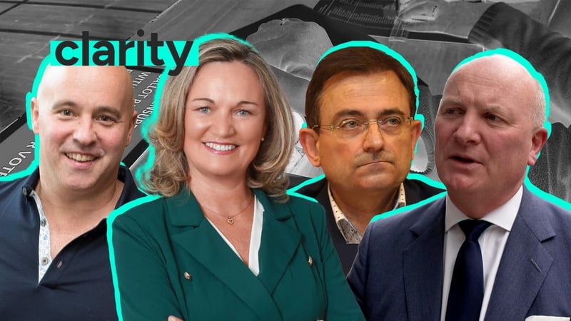 Paul Treyvaud, Elaine Mullally, Eddie Hobbs and Declan Ganley are four of the eight 'campaign leaders' listed on the 'Spoil The Vote' website