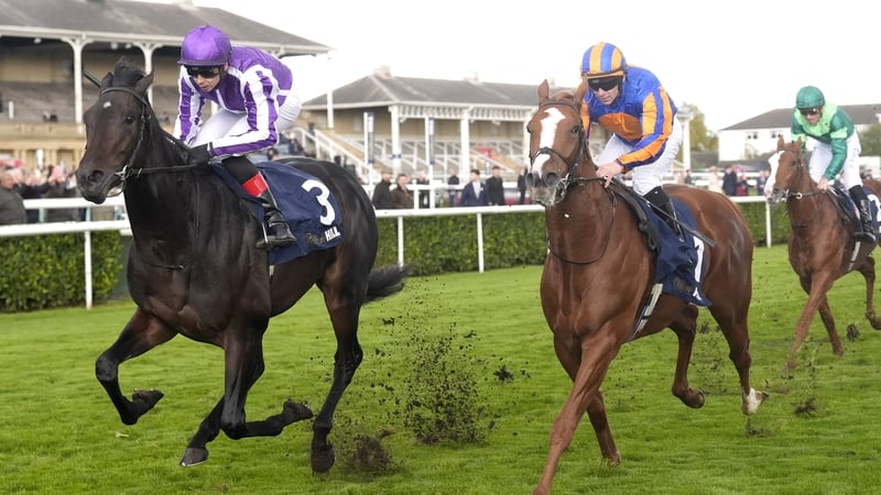 Hawk Mountain and Ronan Whelan (L) on their way to winning the William Hill Futurity Trophy Stakes