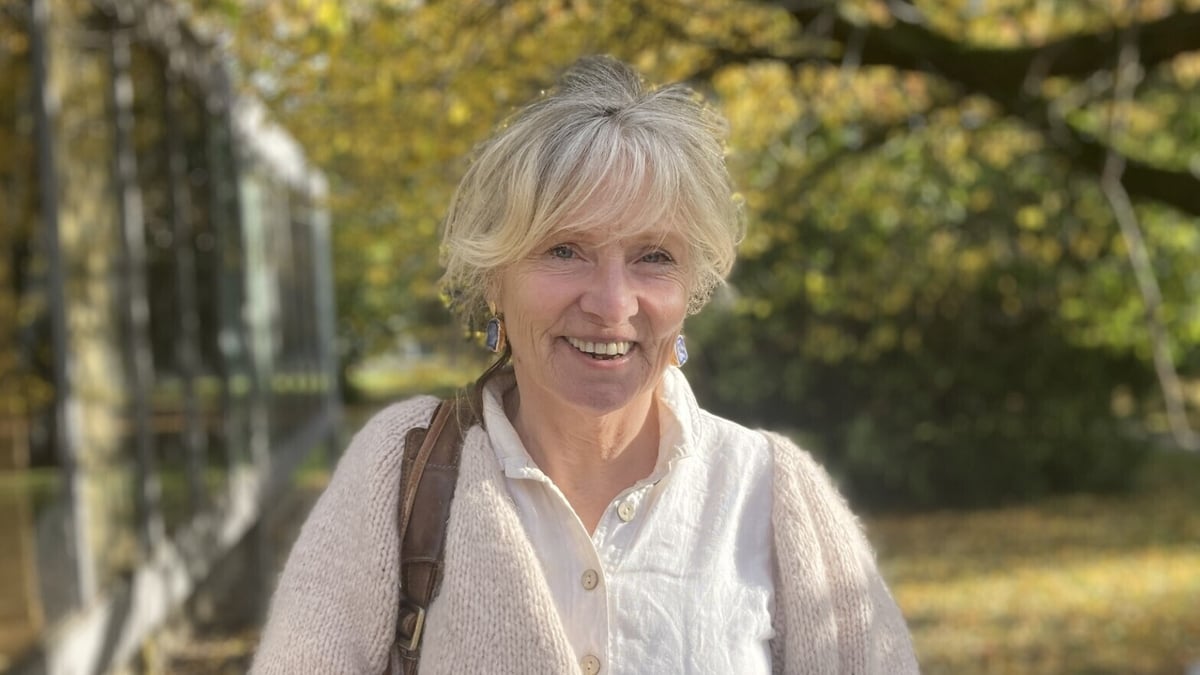 One Step from the Bog by Anne Gately Mercier