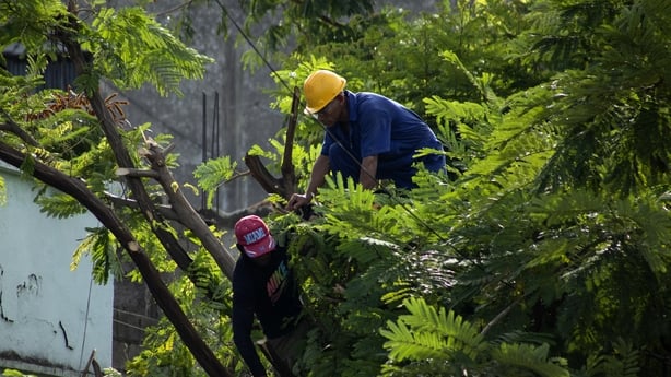 Workers prune trees ahead of the arrival of Tropical Storm Melissa in Santiago de Cuba 