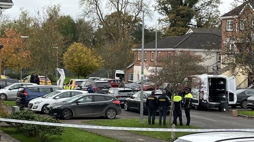 Gardaí and emergency services were alerted to the incident