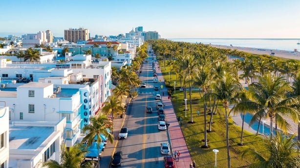 A photo of a Miami street with blue skies, pale buildings and pine trees
