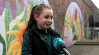 Children transform Dublin railway arches