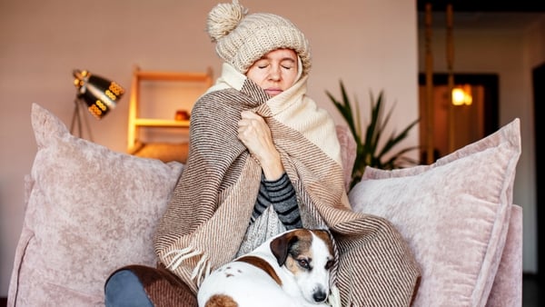 Unwell woman in blanket sit in cold living room. Suffering from lack of heat at home . Unhealthy young woman struggle from chill freeze at home. No heating concept
