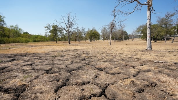 Large cracks form in the ground during a drought