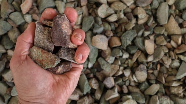 A hand holds several small grey and beige rocks, with hundreds more rocks visible on the ground below the hand.