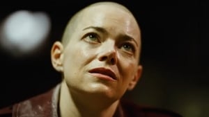 Film Reviews  show image