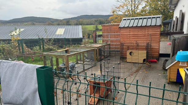 The NSPCA shelter at Mount Venus Road, Rathfarnham