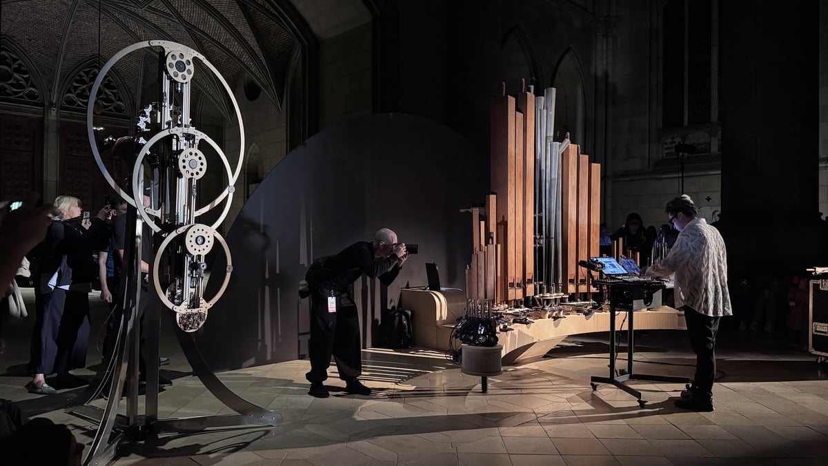 The Iron Gates, Steven Daly, Organism