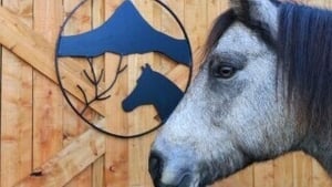 Connemara Pony Heritage Centre  show image
