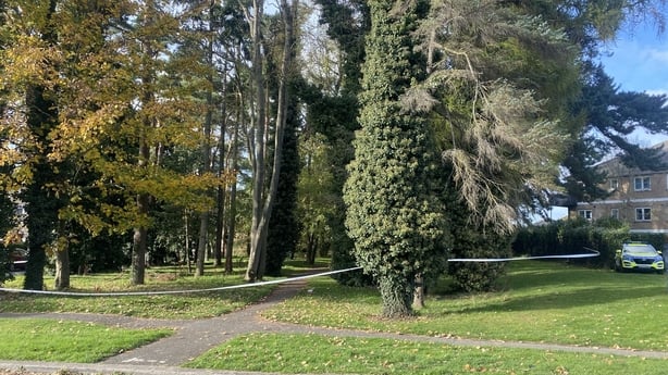 A wooded area has garda tape around it with a garda car to the right