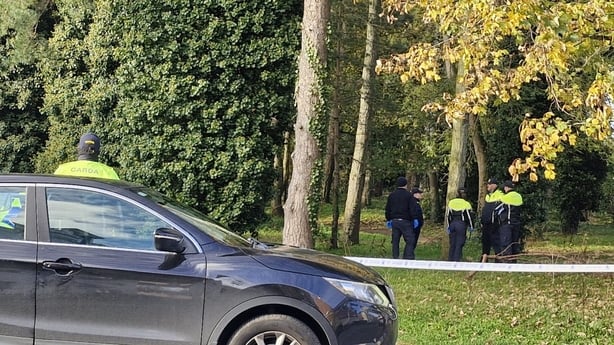 garda seen searching a wooded area 