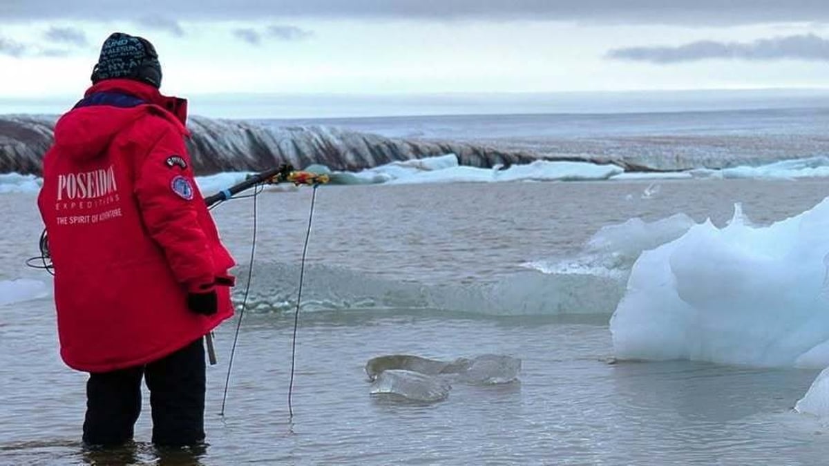 A Sonic Artic return | The Lyric Feature