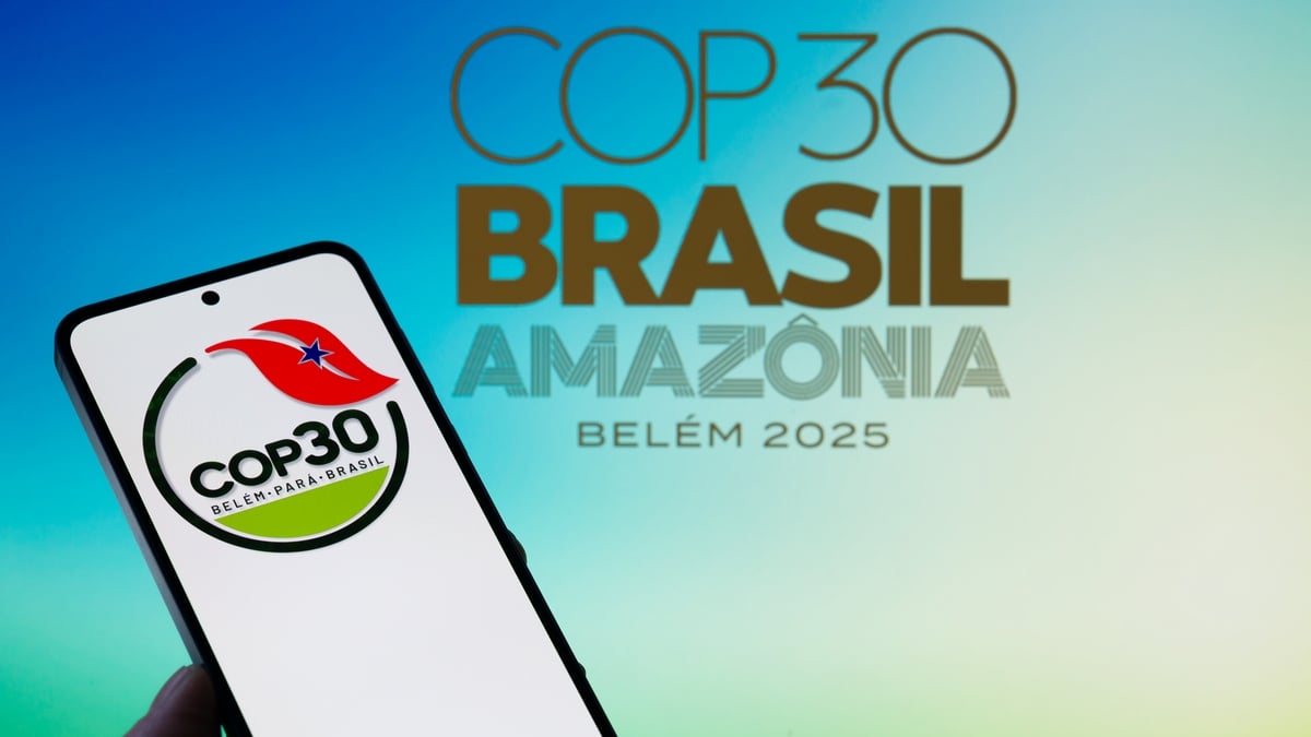 A look ahead to the agenda for COP30