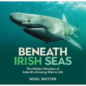 Beneath Irish Seas show image