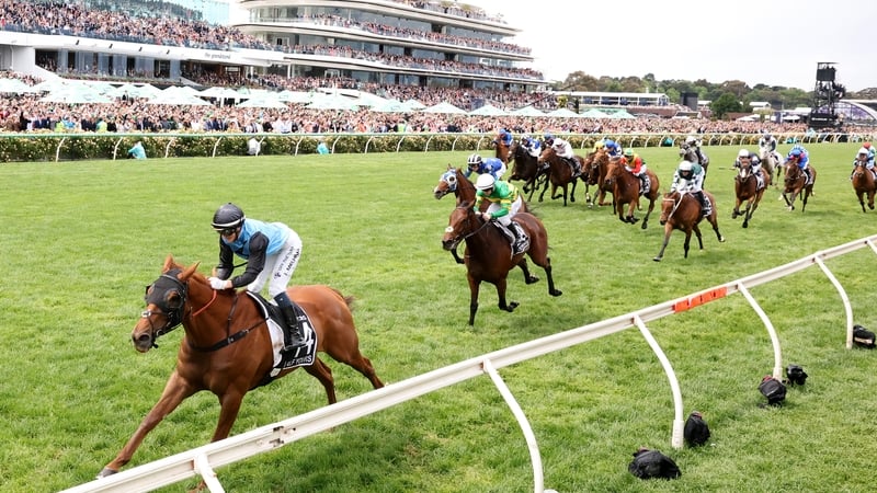 Half Yours leading home the field at Flemington Park
