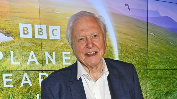 LONDON, ENGLAND - OCTOBER 12: Sir David Attenborough attends the Global Launch of BBC Studios' "Planet Earth III" at Frameless on October 12, 2023 in London, England. (Photo by Dave Benett/Getty Images)