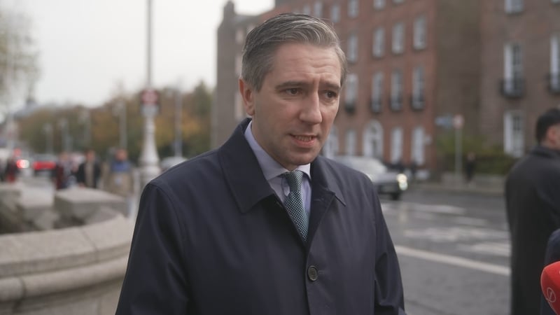 Tánaiste Simon Harris said migration was good but there had to be rules which take account of social cohesion