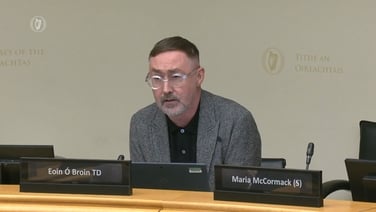 'Talking about planning elites is not helpful' - Ó Broin responds to developer at committee