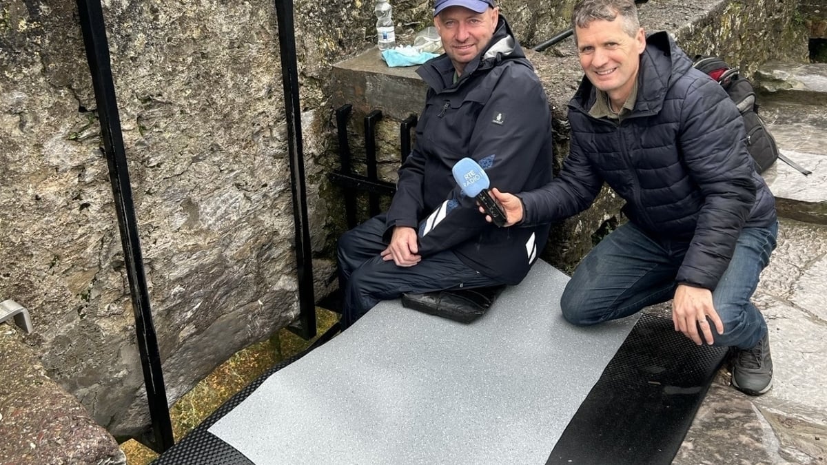 Blarney Castle advertise unique job