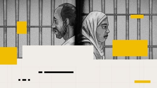 RTÉ Investigates: First Conviction