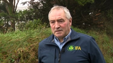 Housing order imposed after bird flu outbreak in Carlow turkey flock