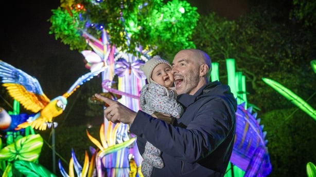 Wild Lights Dublin Zoo
