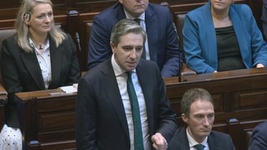 Tánaiste tells Deputy Pearse Doherty - 'You are a bully'