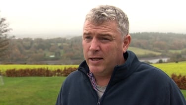 Cork turkey farmer says bird flu outbreak would mean financial ruin