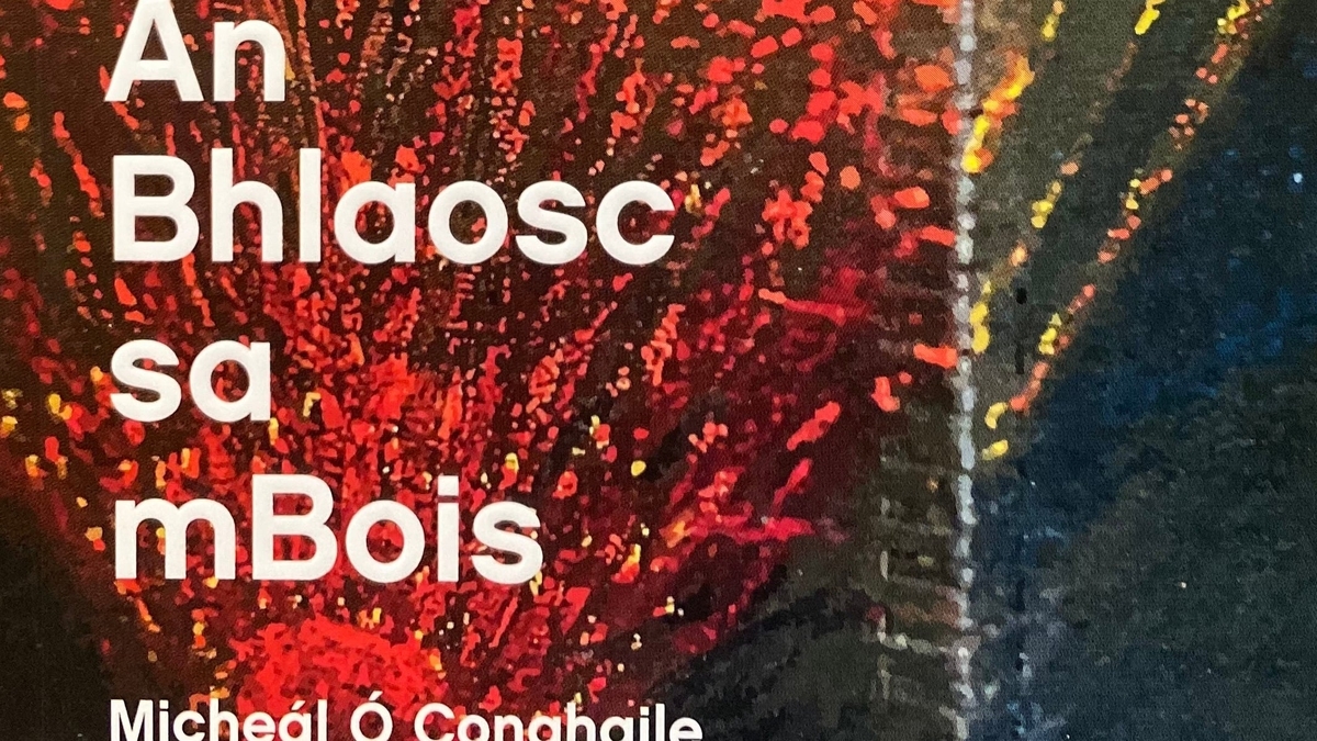 Micheál Ó Conghaile, Scríbhneoir.